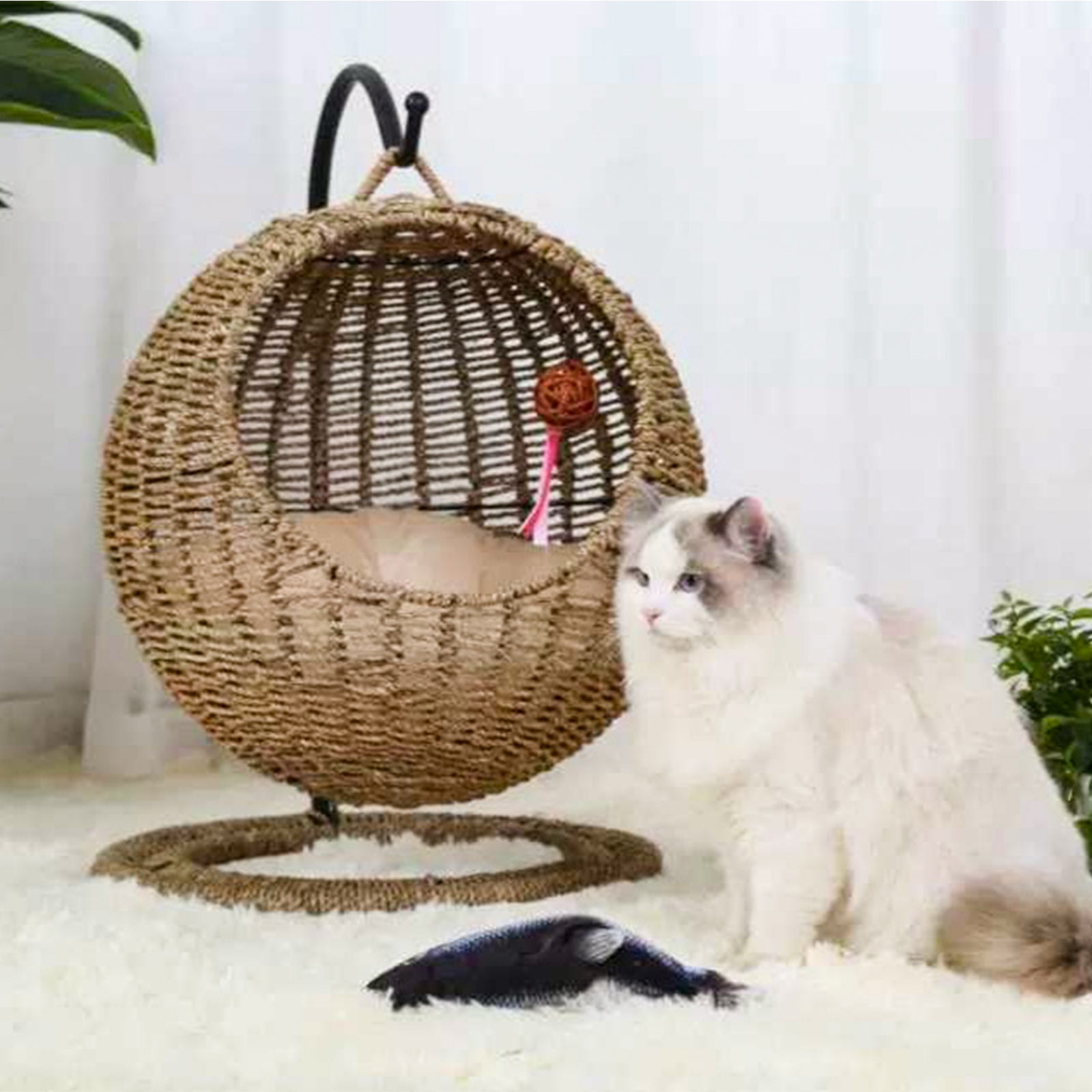 Oehid Hand Made Wicker Cat Bed Basket Swinging Pet House Nest for Small Dog Cat with Cushion