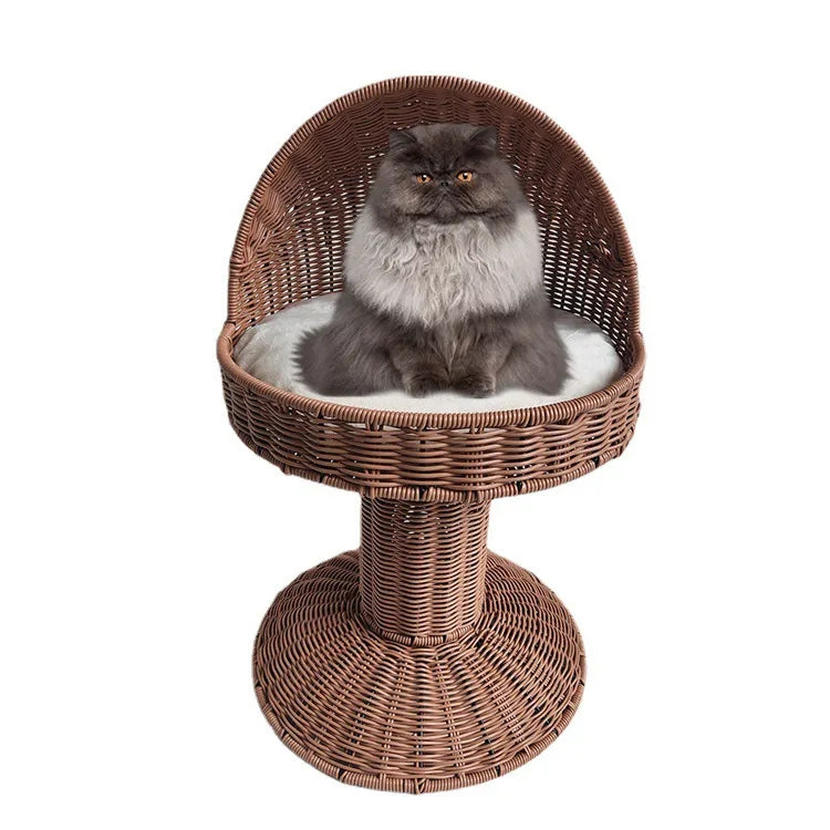 Oehid Rattan Wicker Elevated Cat Bed Standing Cat Sleeping Bed Cat Tree House