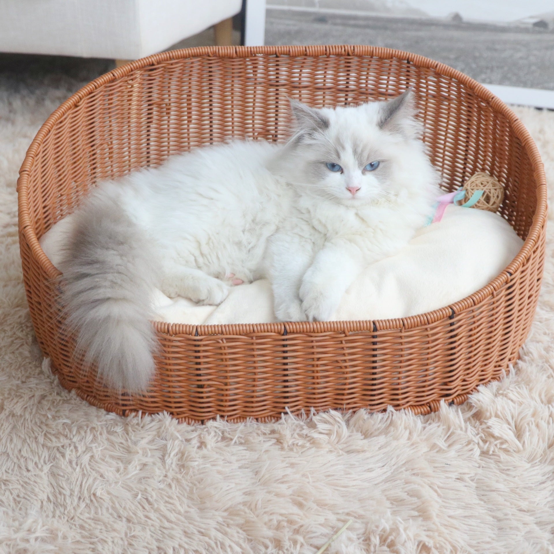 Oehid Rattan Dog Bed Large Dog House Cat Bed Daybed with Cotton Pad